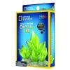 National Geographic Impulse Crystal Grow Glow in the Dark