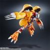 [Tamashii Digimon] Digivolving Spirits 01 WarGreymon