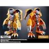 [Tamashii Digimon] Digivolving Spirits 01 WarGreymon