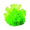 National Geographic Impulse Crystal Grow Glow in the Dark