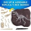 National Geographic - T-Rex Skeleton Dig Kit